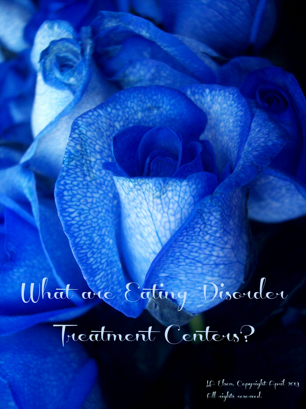 what-are-eating-disorder-treatment-centers-hubpages