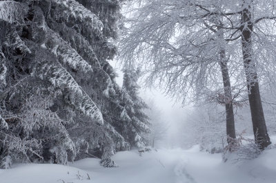Winter time