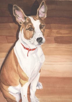 Going to the Dogs: Watercolor Portraits of Dogs