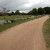 Olson Meadows Park/Regional Trail