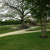 Olson Meadows Park Playscape