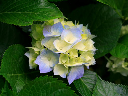 https://usercontent1.hubstatic.com/7924404_f260.jpg