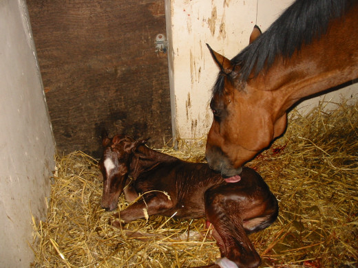 Soon after birth