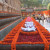 Bodhgaya: It is believed the Buddha had walked through this place. Bodhgaya: It is believed the Buddha had walked through this place.