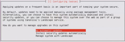 Select "No automatic updates" and hit "Enter"