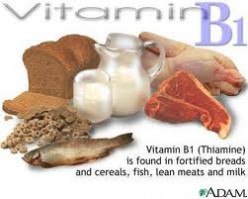 Food & Other Sources of Vitamin B1