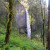 A view of Latourell Falls from the trail. A view of Latourell Falls from the trail.