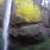 Another panoramic view of Latourell Falls. Another panoramic view of Latourell Falls.