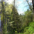 TrailDudes love Panoramics :) TrailDudes love Panoramics :)