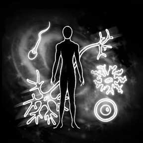 Where, and how, do we evolve from here? 