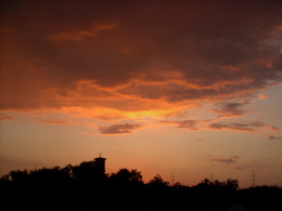 https://usercontent1.hubstatic.com/7936788_f260.jpg
