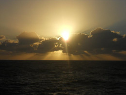 https://usercontent1.hubstatic.com/7937396_f260.jpg