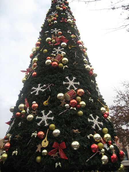 The Magic Kingdom is transformed during the holiday season.