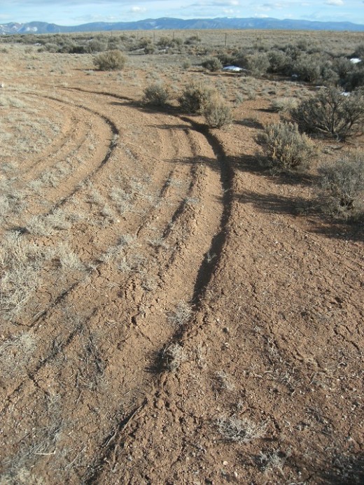 Tire tracks near the rim of the Rio Grande Gorge