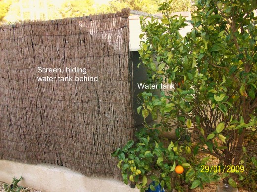 A brushwood screen for the water tank