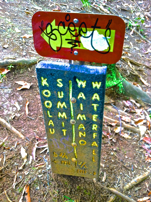 About a half mile in, you'll see this sign.  Waimano Waterfalls to the right, Ko'olau Summit to the left