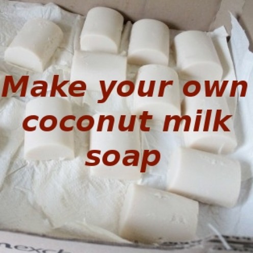 Coconut-Milk Soap Recipe Coconut-Milk Soap Recipe