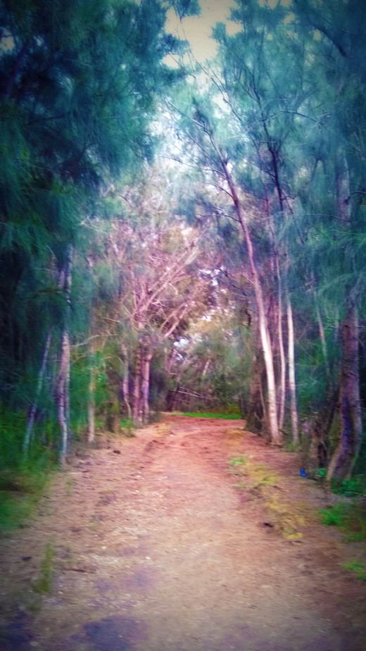 Parts of this trail are like something out of a Tolkien landscape