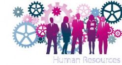 Human Resources:  The Diamond in the Rough for Psychology Majors