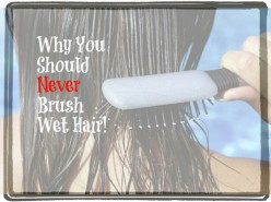 Is It Better To Comb or Brush Wet Hair?