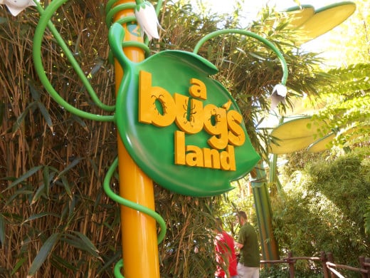 Entrance to A Bug's Land