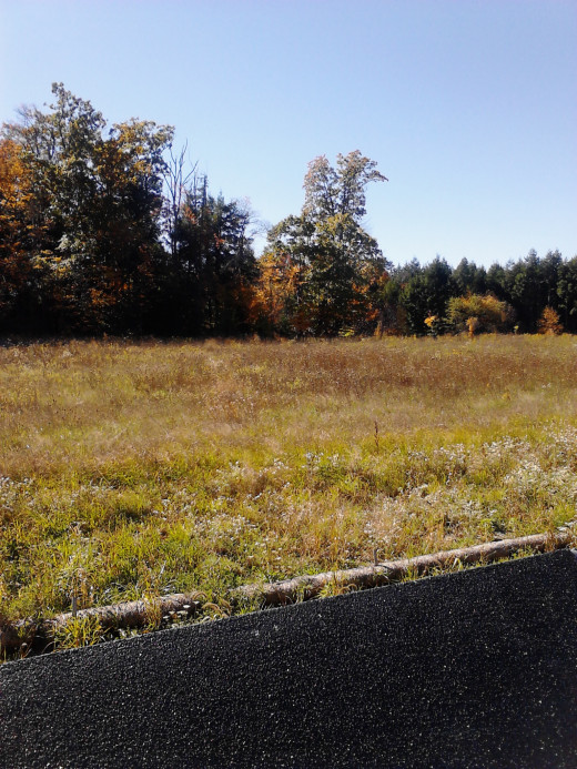 Overlooking the crash field from the Memorial Wall.  10/11/12