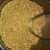 Cut the coconut oil into the gluten free flours. Cut the coconut oil into the gluten free flours.