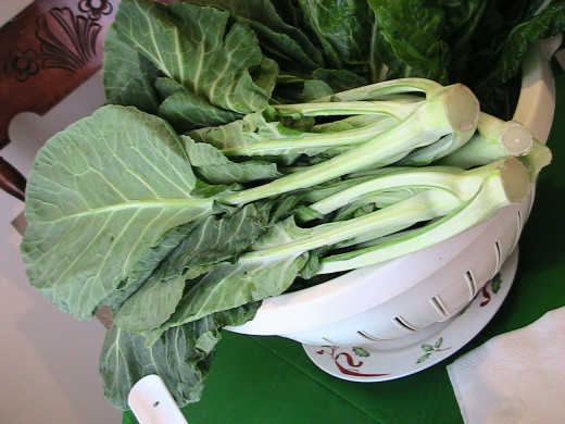 Wonderfully nutritious, collard leaves are very low in calories and contains no cholesterol.