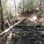 This trail has 3 bridges like this to cross This trail has 3 bridges like this to cross