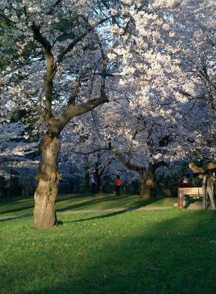 High Park Gates, Toronto