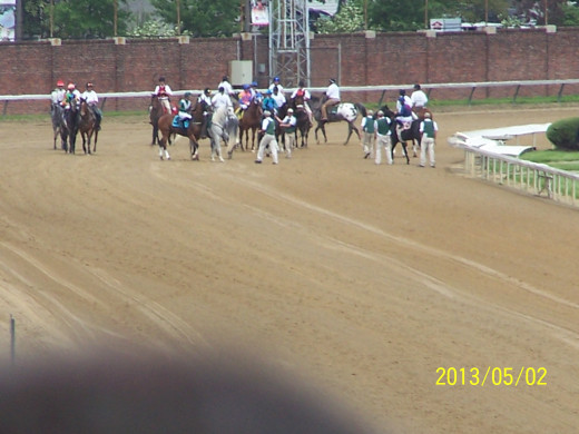 THE LAST TURN IS THE FIRST TIME WE CAN SEE THE HORSES!