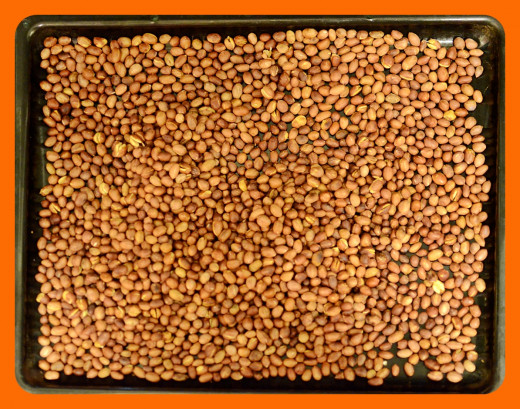 These peanuts are rather on the dark side, but we like it this way