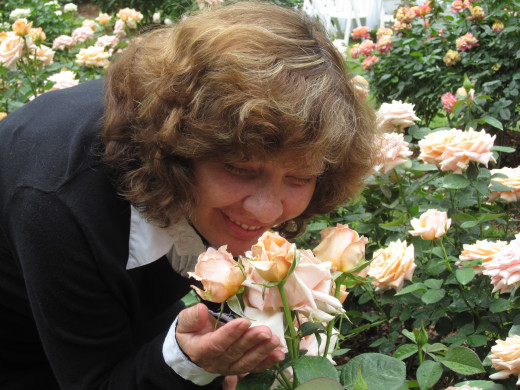 Raleigh's Rose Garden :)))