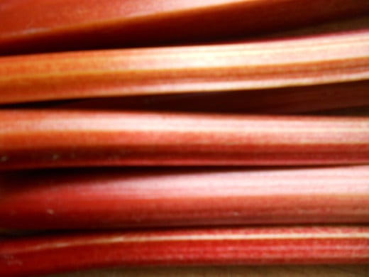 Fresh rhubarb