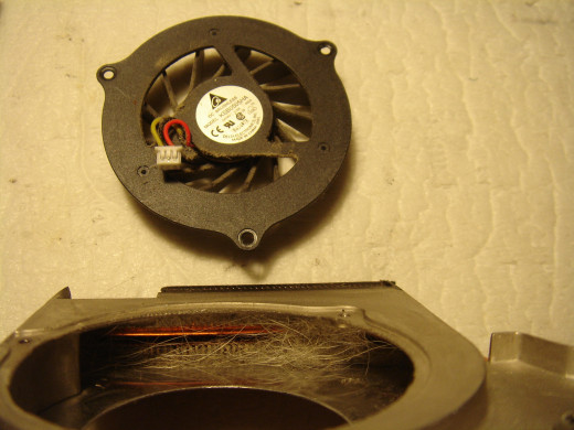 Fan clogged with dust and hairs.