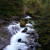 The river below Wahclella Falls The river below Wahclella Falls
