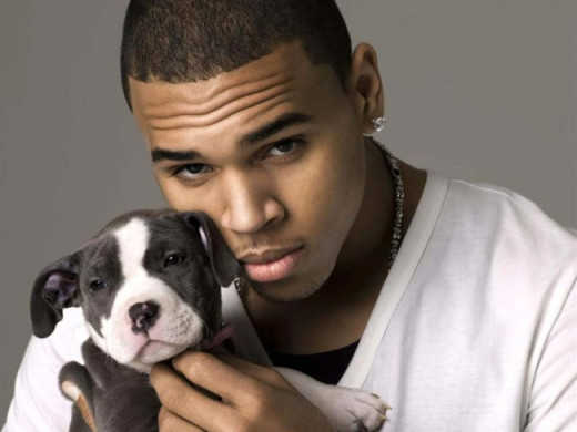 Except Chris Brown, he just wants puppies (and plenty of women to punch in the face repeatedly.)