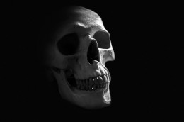 https://usercontent1.hubstatic.com/7992574_f260.jpg