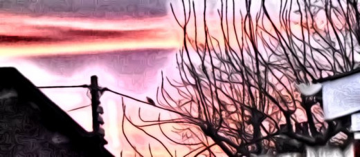 An early morning ; new lessons new days.