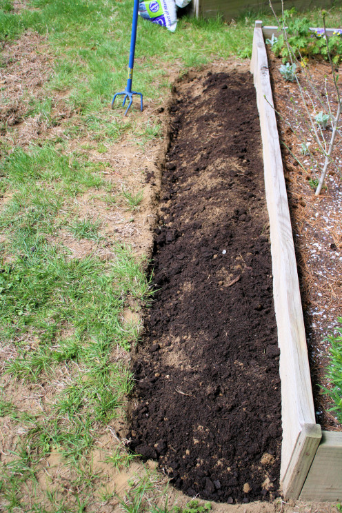 Soil Tilled and Compost Added.