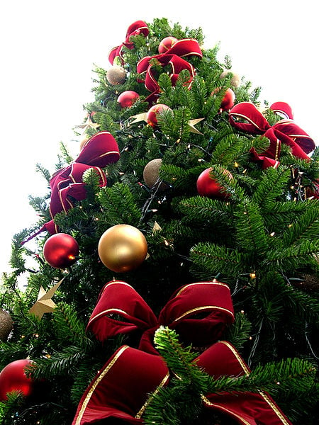 A beautiful Christmas Tree