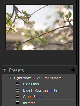 Editing photos in lightroom