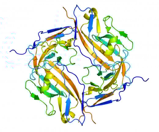 A drawing of the CD47 protein.