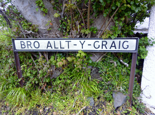 The name of this vale when translated means The 'Vale to A Cliff Faced Forest.' However I prefer to call it 'Memory Lane.'