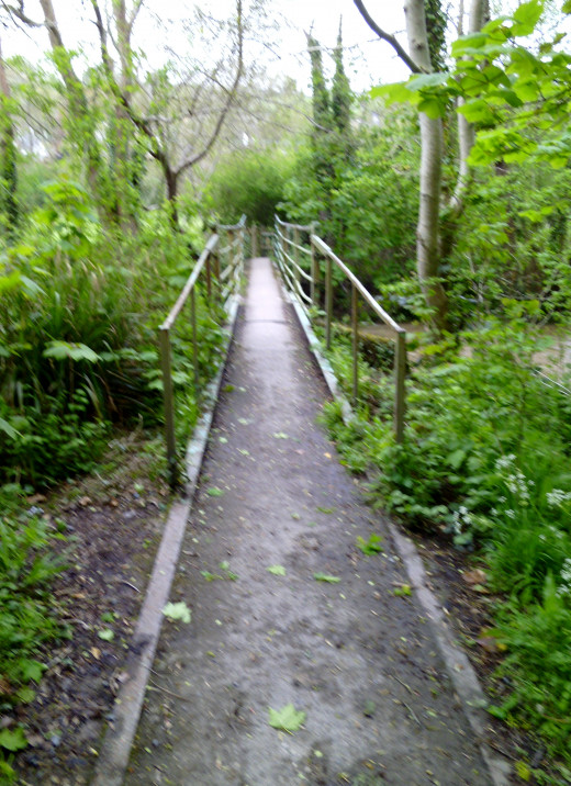 The bridge from yesteryear over which I used to walk to collect frog spawn.