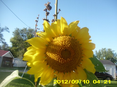 If you look around, you will see God everywhere. In the beauty of nature.