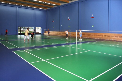Badminton Sport