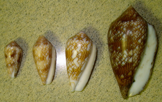 Reverse of Textile Cones