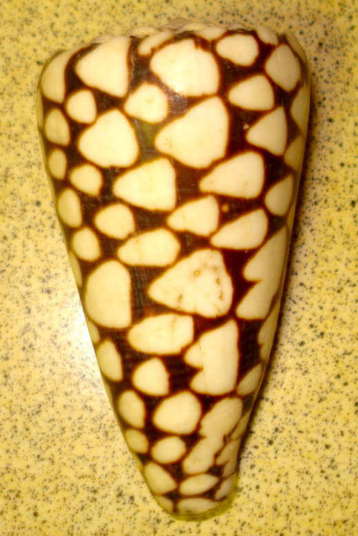 Marble Cone