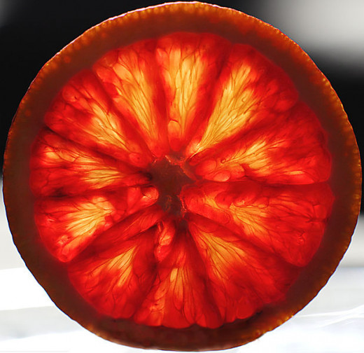 By Eric Hill from Boston, MA, USA (Blood Orange) [CC-BY-SA-2.0 (http://creativecommons.org/licenses/by-sa/2.0)], via Wikimedia Commons